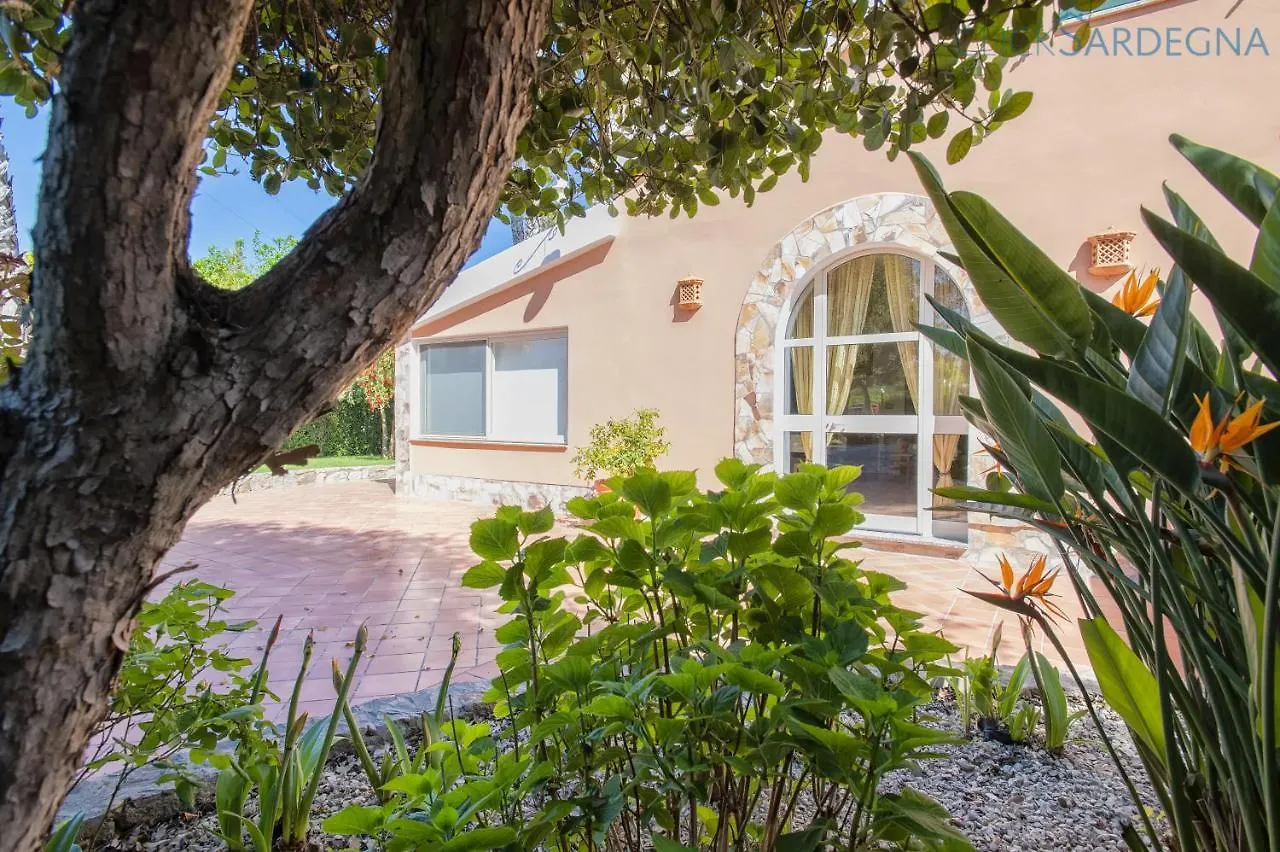 Alghero Villa Galatea Con Giardino Per 8 Persone Vicino Alla Spiaggia Con 4 Camere